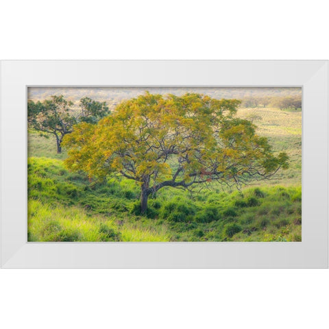 Hawaii-Maui-Kula upcountry lone tree White Modern Wood Framed Art Print by Gulin, Sylvia