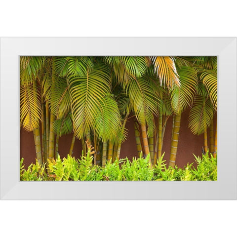 Hawaii-Maui-Kihei-Palm trees growing along wall White Modern Wood Framed Art Print by Gulin, Sylvia