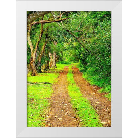 Hawaii-Kauai-gravel tree lined road White Modern Wood Framed Art Print by Gulin, Sylvia