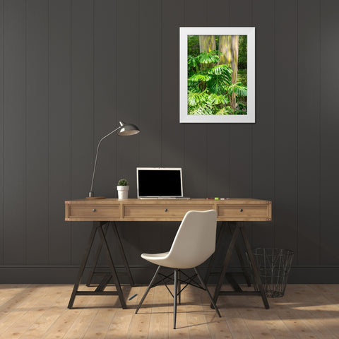 Hawaii-Maui-Up Country-Kula-Kula Botanical Gardens with Rainbow eucalyptus trees White Modern Wood Framed Art Print by Gulin, Sylvia