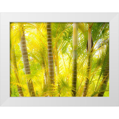 Hawaii-Maui-Up Country-Kula-Kula Botanical Gardens with small tropical palm trees White Modern Wood Framed Art Print by Gulin, Sylvia