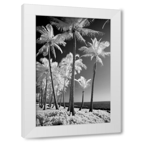 USA-Hawaii-Kauai-Infrared of palm trees of Kauai White Modern Wood Framed Art Print by Eggers, Terry