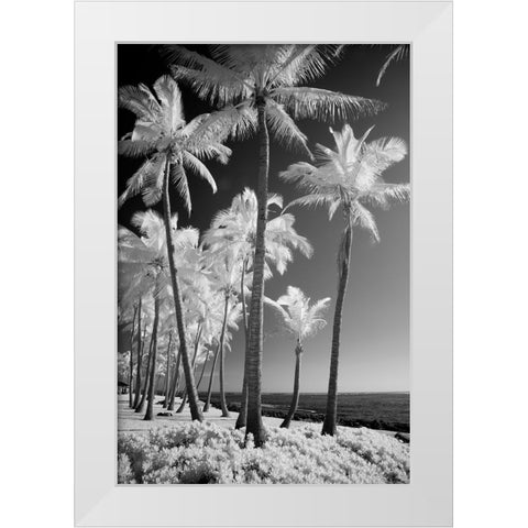 USA-Hawaii-Kauai-Infrared of palm trees of Kauai White Modern Wood Framed Art Print by Eggers, Terry