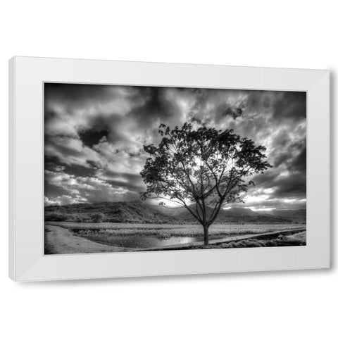 USA-Hawaii-Kauai-Infrared image of Lone tree in Taro fields White Modern Wood Framed Art Print by Eggers, Terry