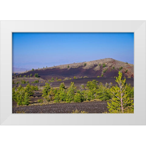 USA-Idaho Craters of the Moon National Monument and Preserve-Paisley Cone White Modern Wood Framed Art Print by Friel, Bernard