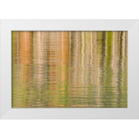 Idaho Fall reflections ripple on Redfish Lake White Modern Wood Framed Art Print by Paulson, Don
