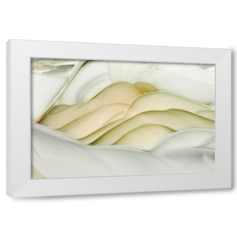 USA, Idaho Close-up of Willow Creek Jasper stone White Modern Wood Framed Art Print by Kirkland, Dennis