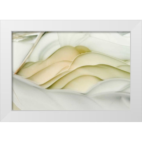 USA, Idaho Close-up of Willow Creek Jasper stone White Modern Wood Framed Art Print by Kirkland, Dennis
