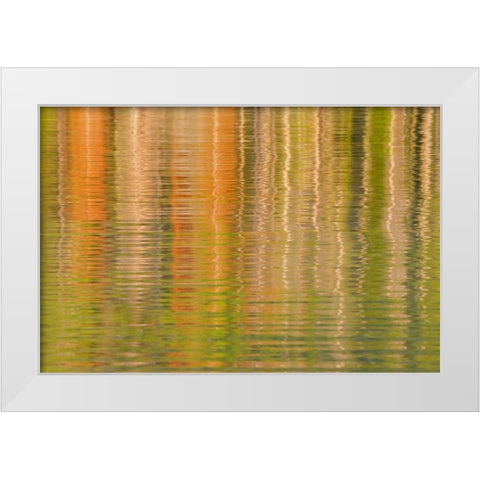 USA, Idaho Reflections on Redfish Lake White Modern Wood Framed Art Print by Paulson, Don