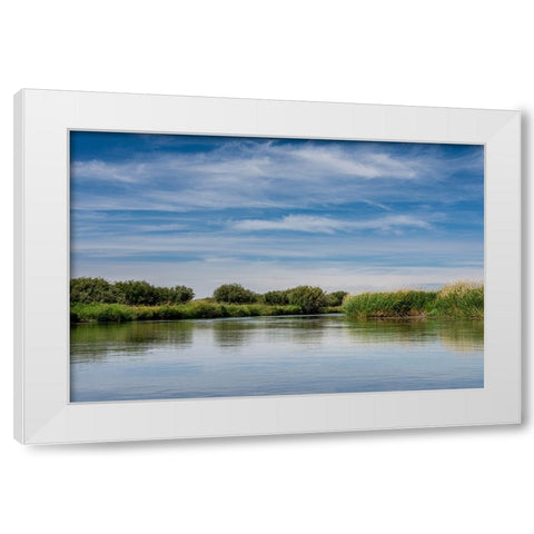 USA-Idaho-Teton River-willows and wetland near Driggs White Modern Wood Framed Art Print by Garber, Howie