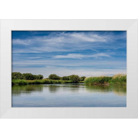 USA-Idaho-Teton River-willows and wetland near Driggs White Modern Wood Framed Art Print by Garber, Howie