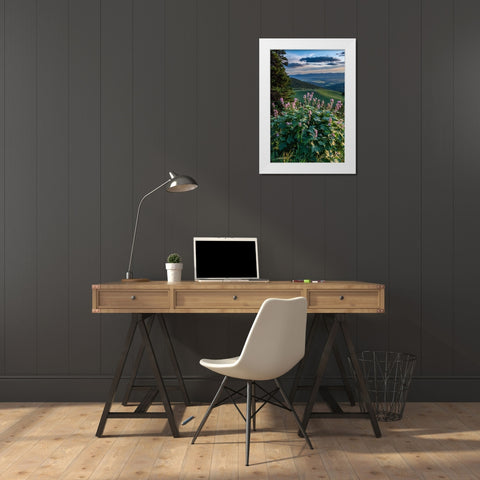 USA-Idaho-Mountain Globemallow and view of Teton Valley White Modern Wood Framed Art Print by Garber, Howie