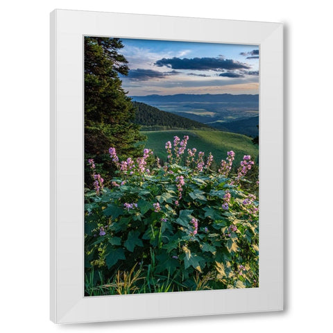 USA-Idaho-Mountain Globemallow and view of Teton Valley White Modern Wood Framed Art Print by Garber, Howie