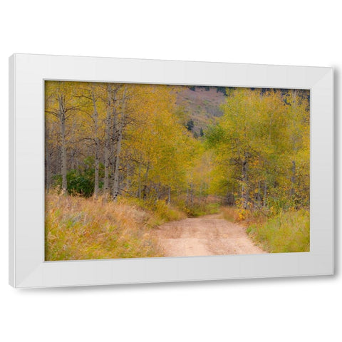 USA-Idaho-Highway 36 west of Liberty dirt road and Aspens in autumn White Modern Wood Framed Art Print by Gulin, Sylvia
