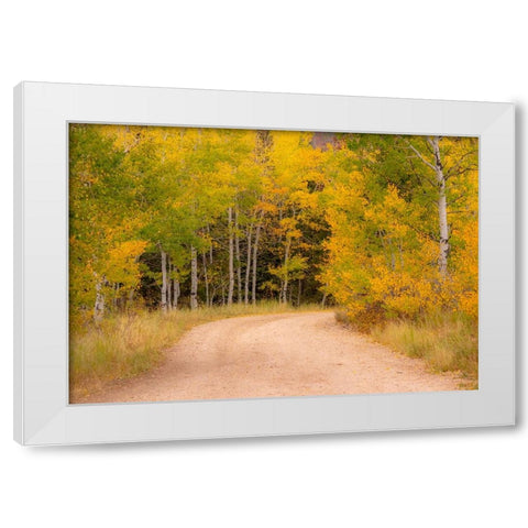 USA-Idaho-Highway 36 west of Liberty dirt road and Aspens in autumn White Modern Wood Framed Art Print by Gulin, Sylvia