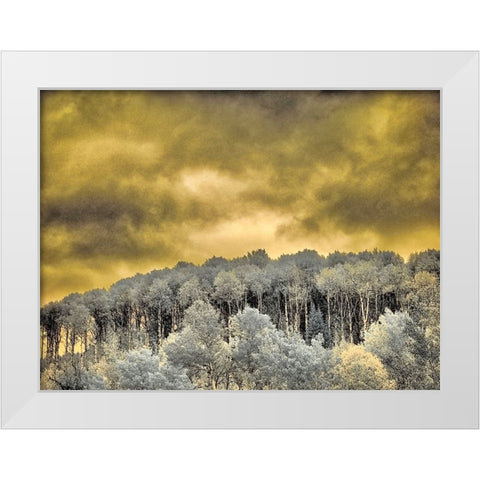 USA-Idaho-Aspens a with clouds White Modern Wood Framed Art Print by Eggers, Terry