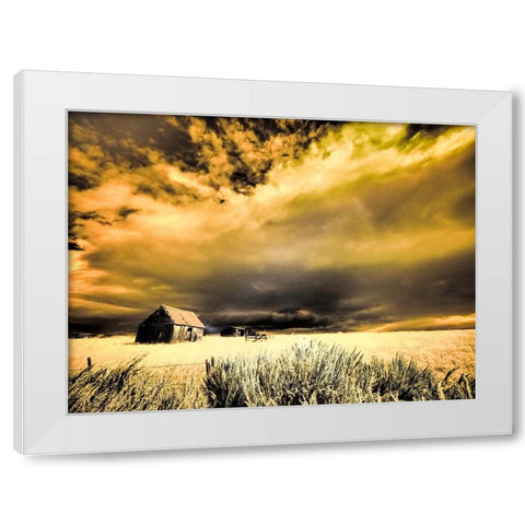 USA-Idaho-Liberty-Infrared of old cabin near Liberty White Modern Wood Framed Art Print by Eggers, Terry