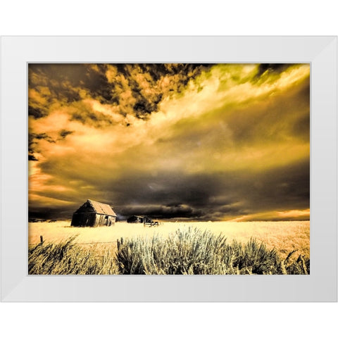 USA-Idaho-Liberty-Infrared of old cabin near Liberty White Modern Wood Framed Art Print by Eggers, Terry