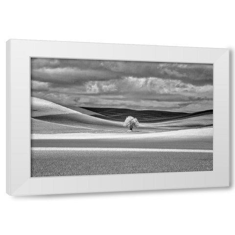 USA-Idaho-Palouse Country-Lone tree and Infrared Palouse fields White Modern Wood Framed Art Print by Eggers, Terry