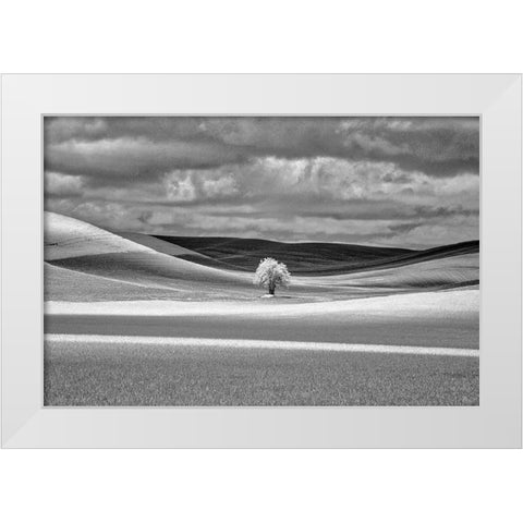 USA-Idaho-Palouse Country-Lone tree and Infrared Palouse fields White Modern Wood Framed Art Print by Eggers, Terry