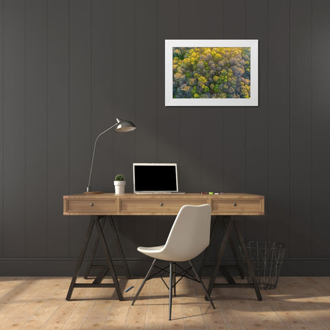 Aerial view of forest in spring-Marion County-Illinois White Modern Wood Framed Art Print by Day, Richard and Susan