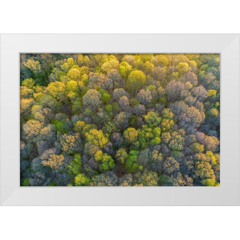 Aerial view of forest in spring-Marion County-Illinois White Modern Wood Framed Art Print by Day, Richard and Susan