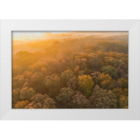 Aerial View of fall Color at sunrise-Marion County-Illinois White Modern Wood Framed Art Print by Day, Richard and Susan