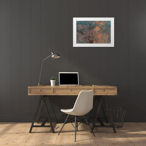 Aerial view of lone Sycamore tree in winter woods-Marion County-Illinois White Modern Wood Framed Art Print by Day, Richard and Susan