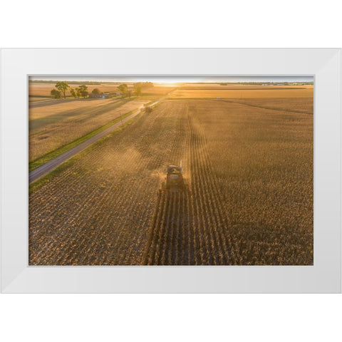 Aerial view of combine harvesting corn field at sunset-Marion County-Illinois White Modern Wood Framed Art Print by Day, Richard and Susan
