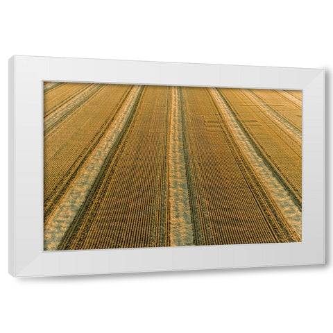 Aerial view of rows of wheat straw before baling-Marion County-Illinois White Modern Wood Framed Art Print by Day, Richard and Susan