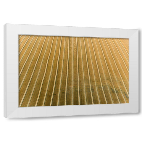 Aerial view of rows of wheat straw before baling-Marion County-Illinois White Modern Wood Framed Art Print by Day, Richard and Susan