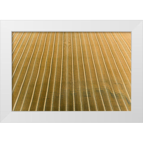 Aerial view of rows of wheat straw before baling-Marion County-Illinois White Modern Wood Framed Art Print by Day, Richard and Susan