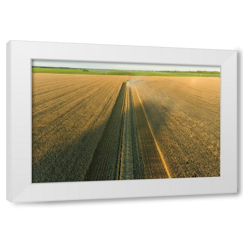 Aerial view of combine harvesting wheat at sunset-Marion County-Illinois White Modern Wood Framed Art Print by Day, Richard and Susan