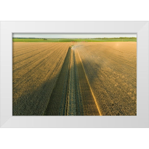 Aerial view of combine harvesting wheat at sunset-Marion County-Illinois White Modern Wood Framed Art Print by Day, Richard and Susan