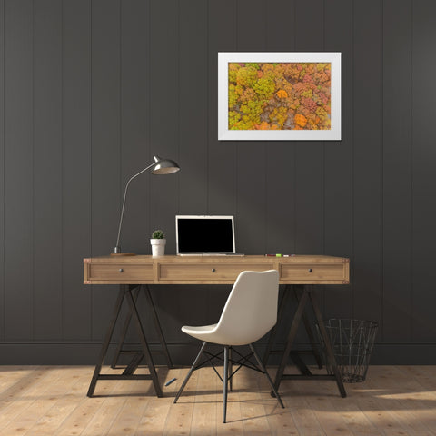 Aerial view of fall color-Marion County-Illinois White Modern Wood Framed Art Print by Day, Richard and Susan