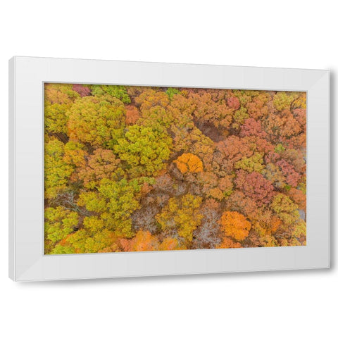 Aerial view of fall color-Marion County-Illinois White Modern Wood Framed Art Print by Day, Richard and Susan