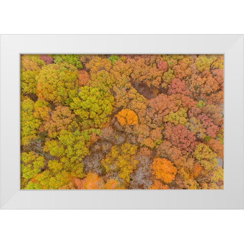 Aerial view of fall color-Marion County-Illinois White Modern Wood Framed Art Print by Day, Richard and Susan