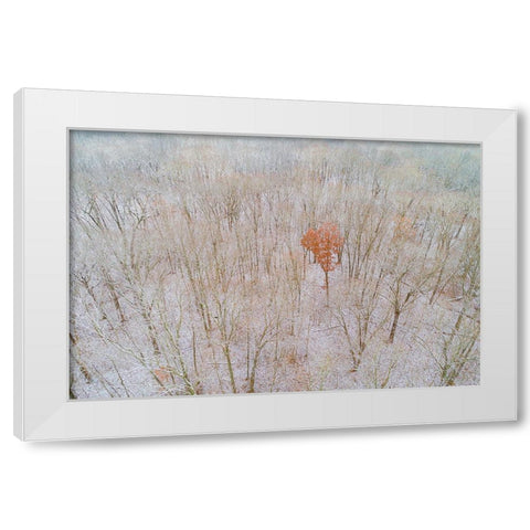Aerial view of a fresh snow over the forest-Marion County-Illinois White Modern Wood Framed Art Print by Day, Richard and Susan