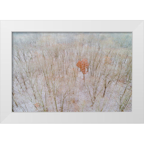 Aerial view of a fresh snow over the forest-Marion County-Illinois White Modern Wood Framed Art Print by Day, Richard and Susan