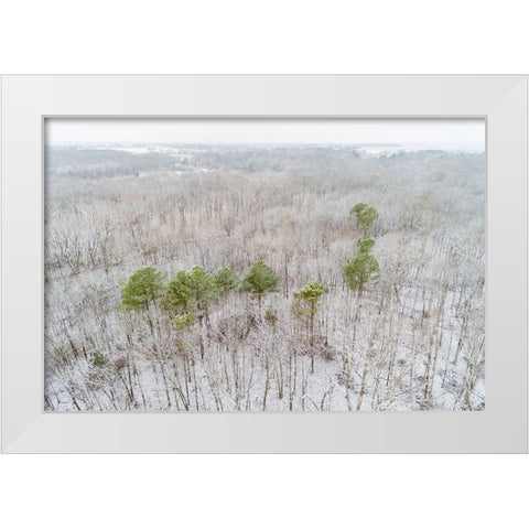 Aerial view of a fresh snow over the forest-Marion County-Illinois White Modern Wood Framed Art Print by Day, Richard and Susan