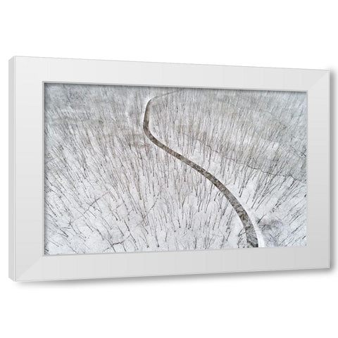 Aerial view of a fresh snow over the forest and road-Marion County-Illinois White Modern Wood Framed Art Print by Day, Richard and Susan
