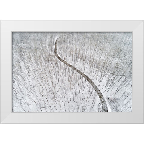 Aerial view of a fresh snow over the forest and road-Marion County-Illinois White Modern Wood Framed Art Print by Day, Richard and Susan