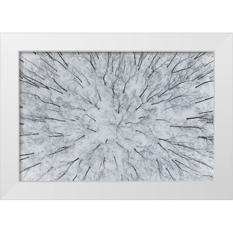 Aerial view of woods after a snowfall-Marion County-Illinois White Modern Wood Framed Art Print by Day, Richard and Susan