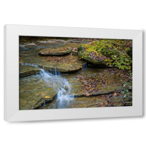 Rocky Ledges with Waterfall in Clifty Creek Park-Indiana White Modern Wood Framed Art Print by Miller, Anna