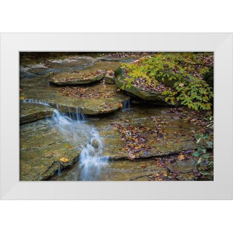Rocky Ledges with Waterfall in Clifty Creek Park-Indiana White Modern Wood Framed Art Print by Miller, Anna