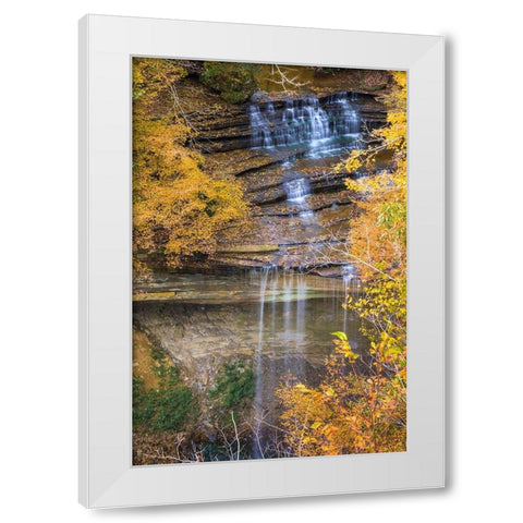 Fall Foliage Over Waterfall in Clifty Creek Park-Southern Indiana White Modern Wood Framed Art Print by Miller, Anna