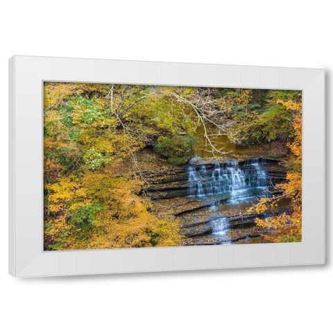 Fall Foliage Over Waterfall in Clifty Creek Park-Southern Indiana White Modern Wood Framed Art Print by Miller, Anna