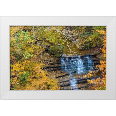 Fall Foliage Over Waterfall in Clifty Creek Park-Southern Indiana White Modern Wood Framed Art Print by Miller, Anna