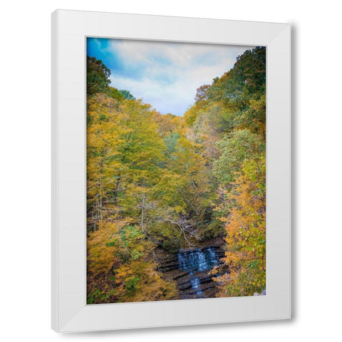 Fall Foliage Over Waterfall in Clifty Creek Park-Southern Indiana White Modern Wood Framed Art Print by Miller, Anna