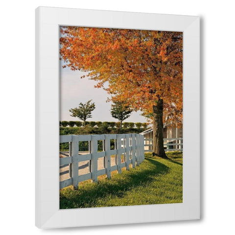 White fences-Keeneland race track-Lexington-Kentucky White Modern Wood Framed Art Print by Jones, Adam